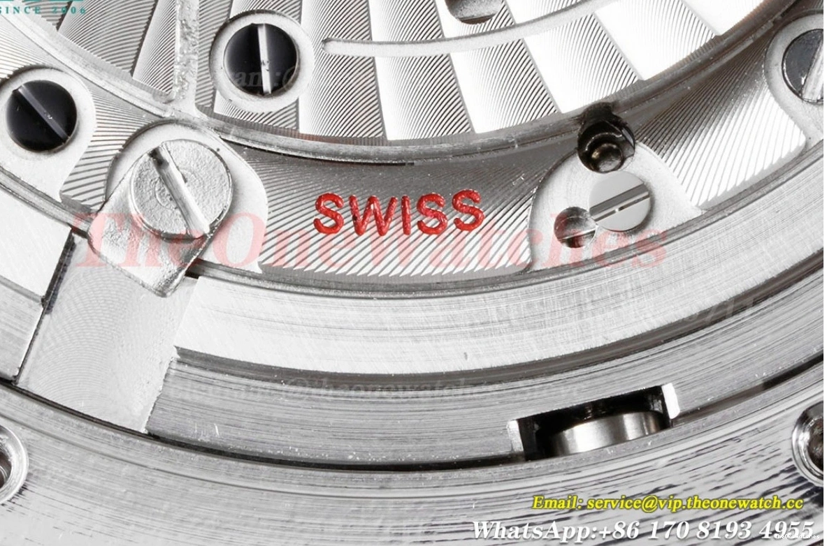 VSF 300m SS Bond 42mm 60th Dial Blue SS Seamaster A8806 James 0125